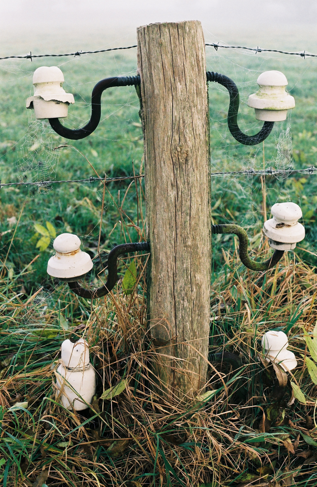 000017-WEB.jpg