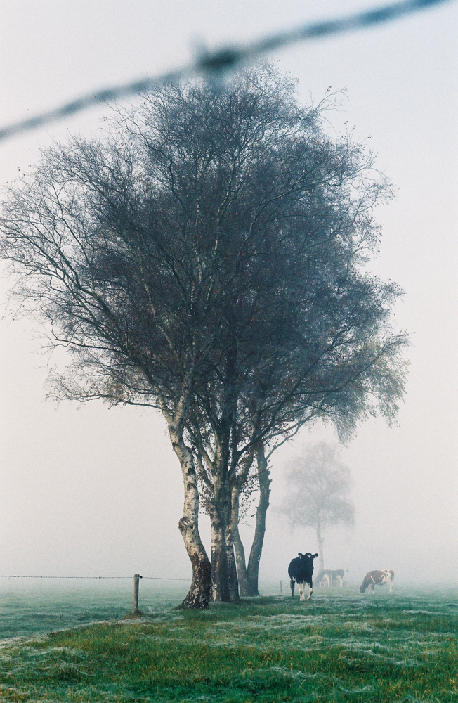 000019-WEB.jpg