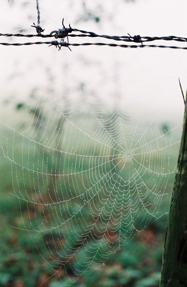 000025-WEB.jpg