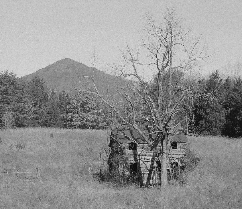 000378810020_cropped.jpg