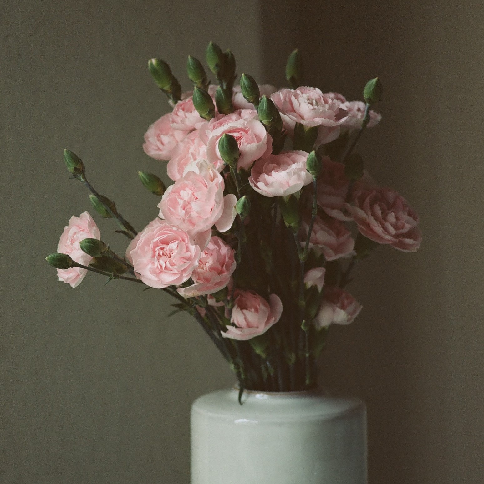 000479310012 Crop.jpg