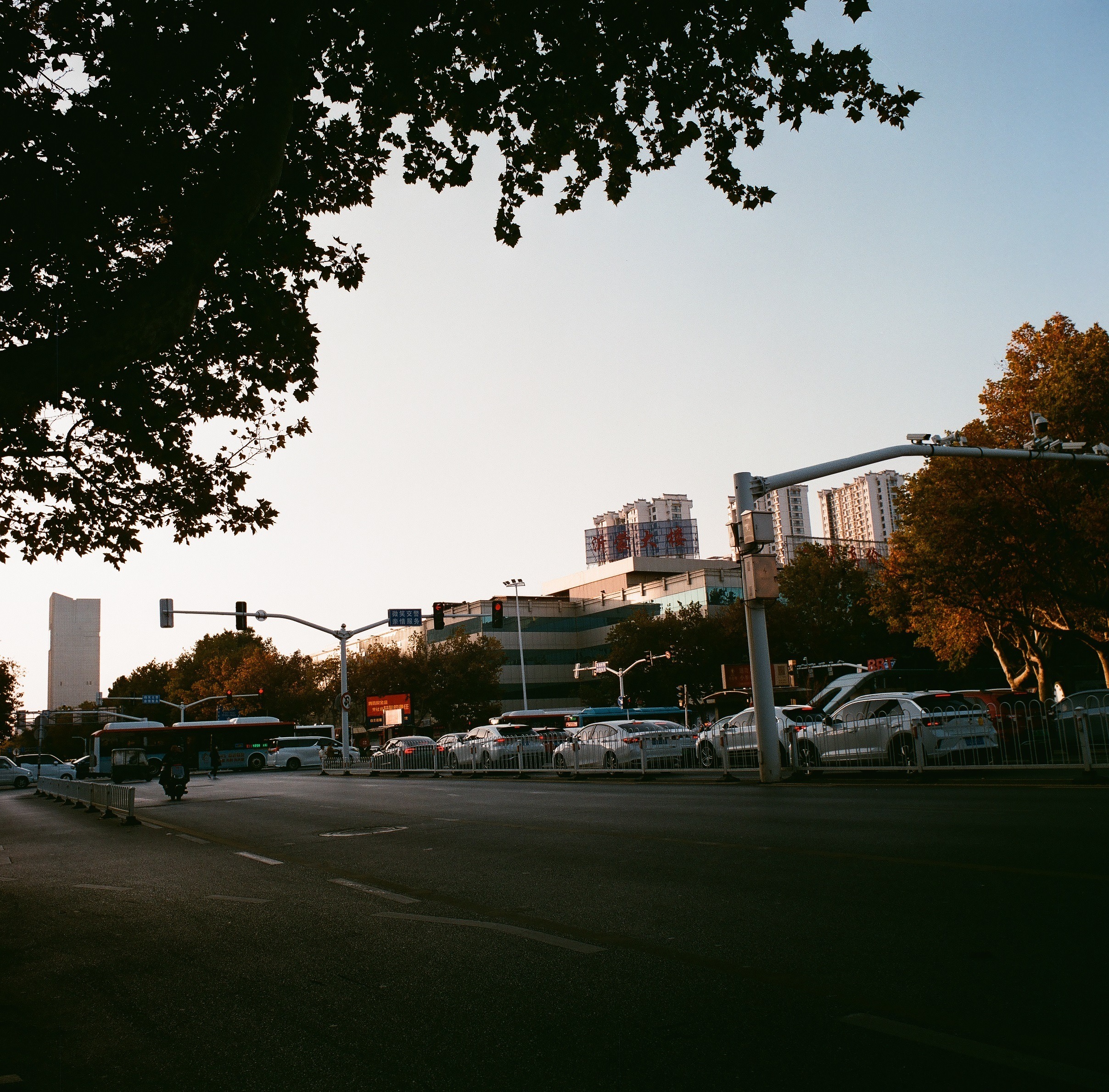 0005(Kowasix 55mm NoritsuHS-1800).jpg