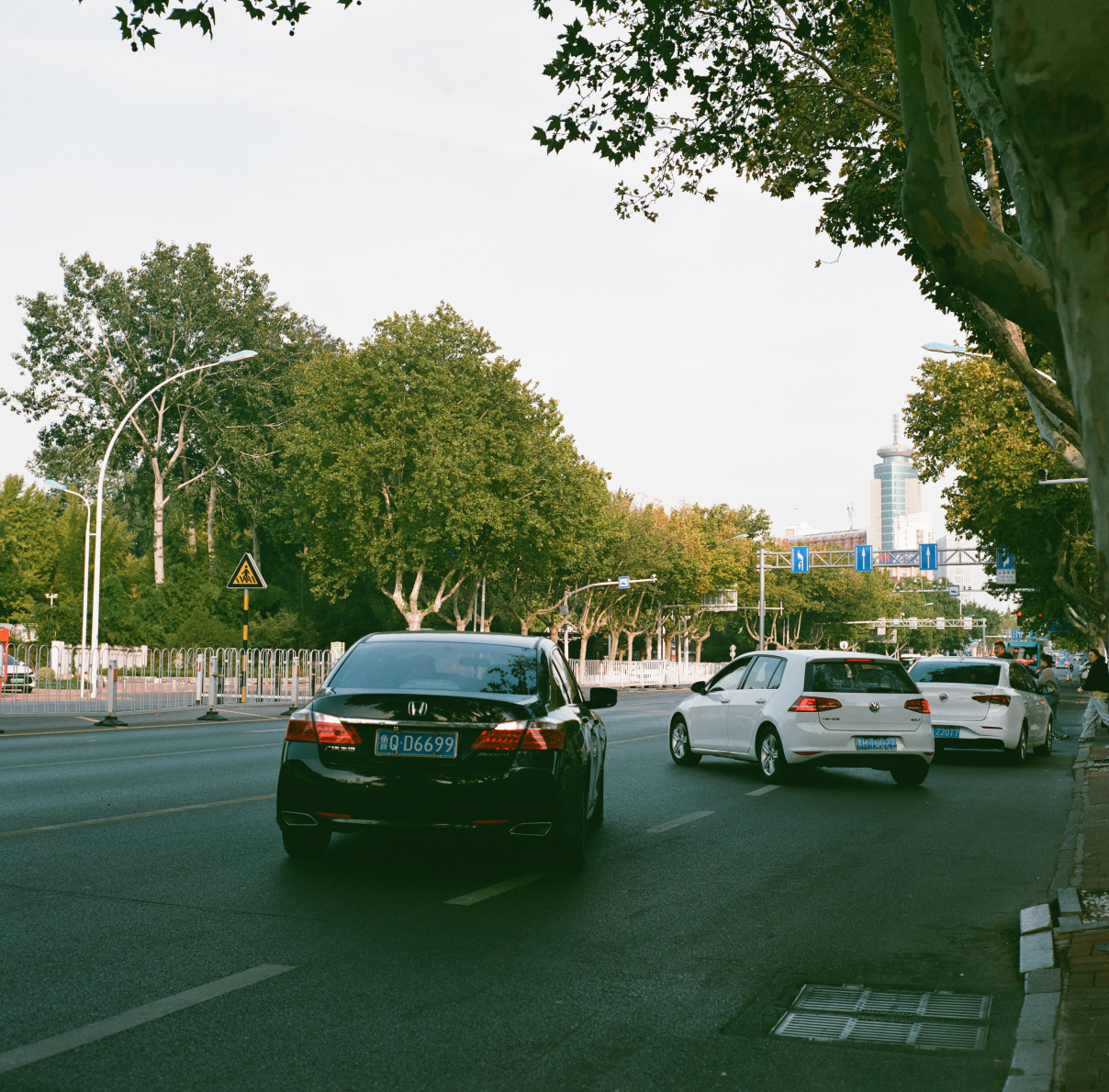 0006(Kowasix 85mm NoritsuHS-1800).jpg