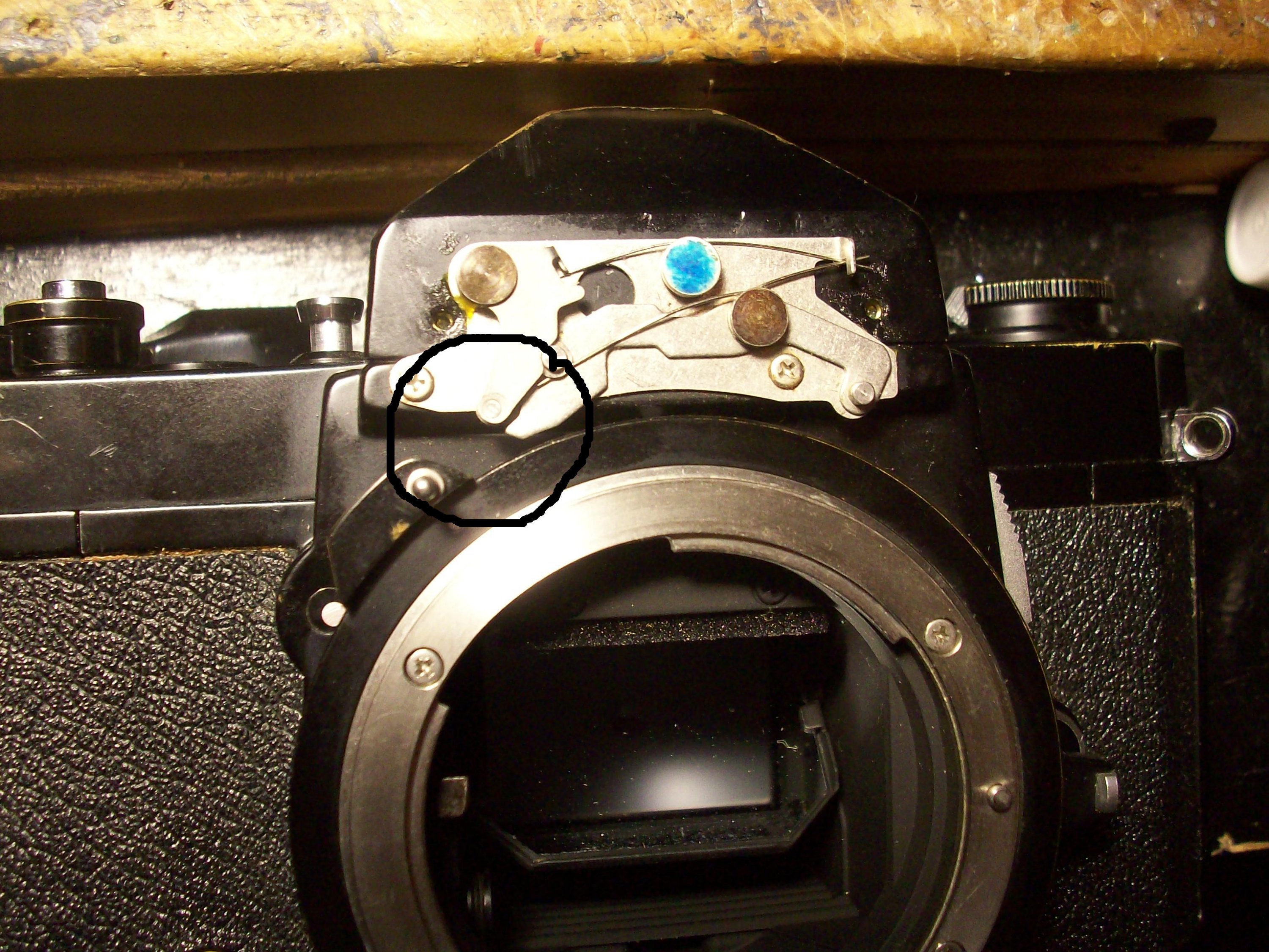 000_0034.JPG