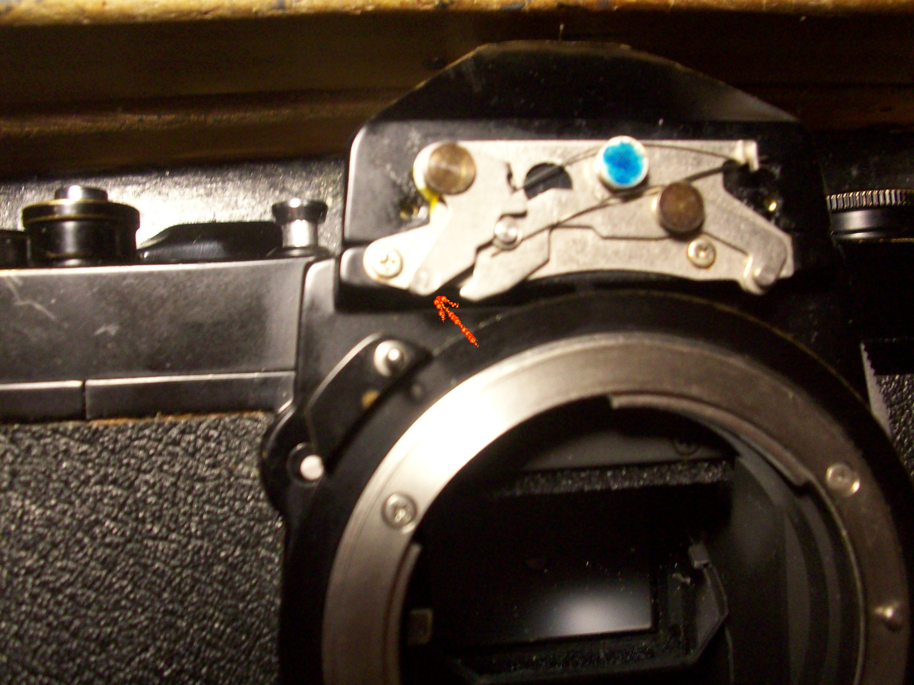 000_0035.JPG