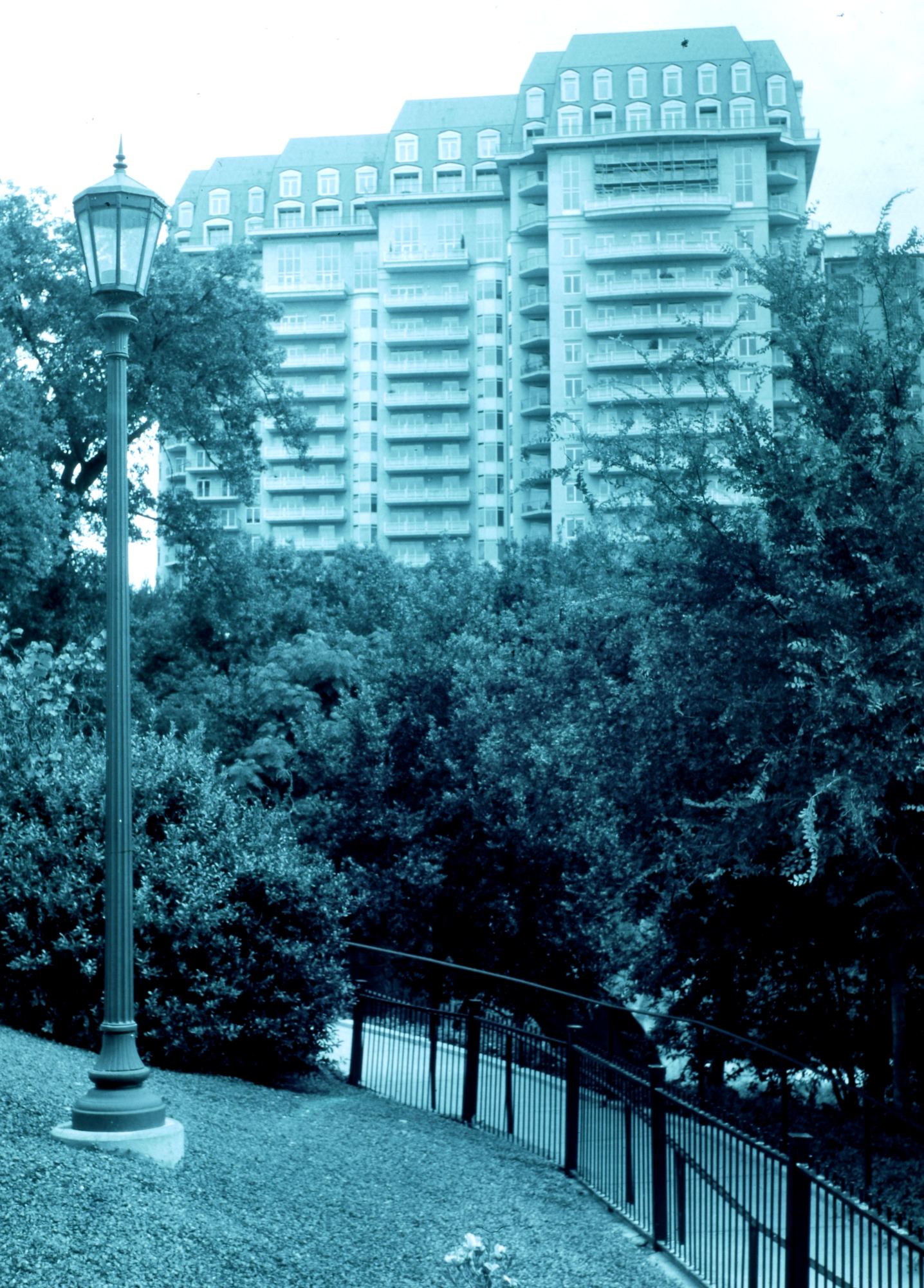 001.jpg
