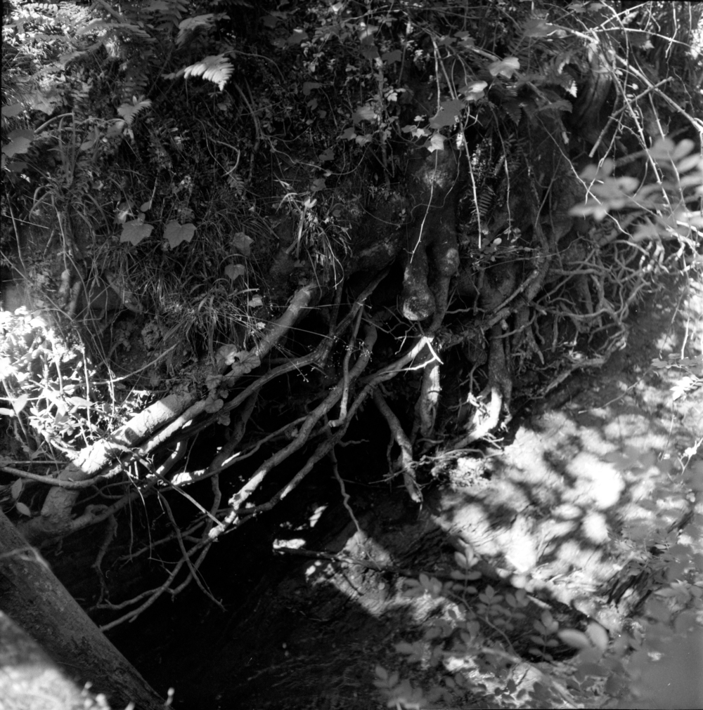 0010-web.jpg
