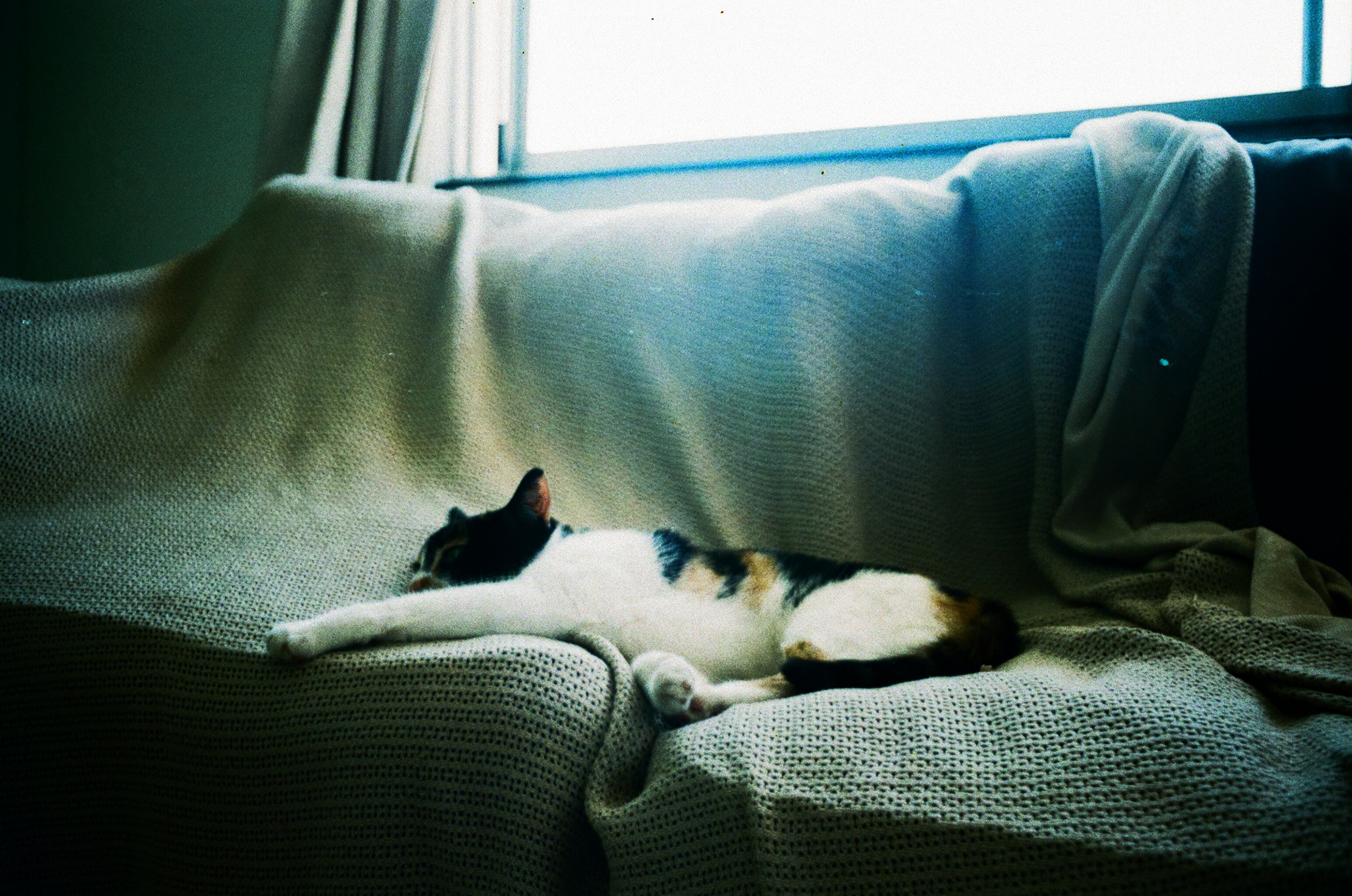 0022_18A.jpg