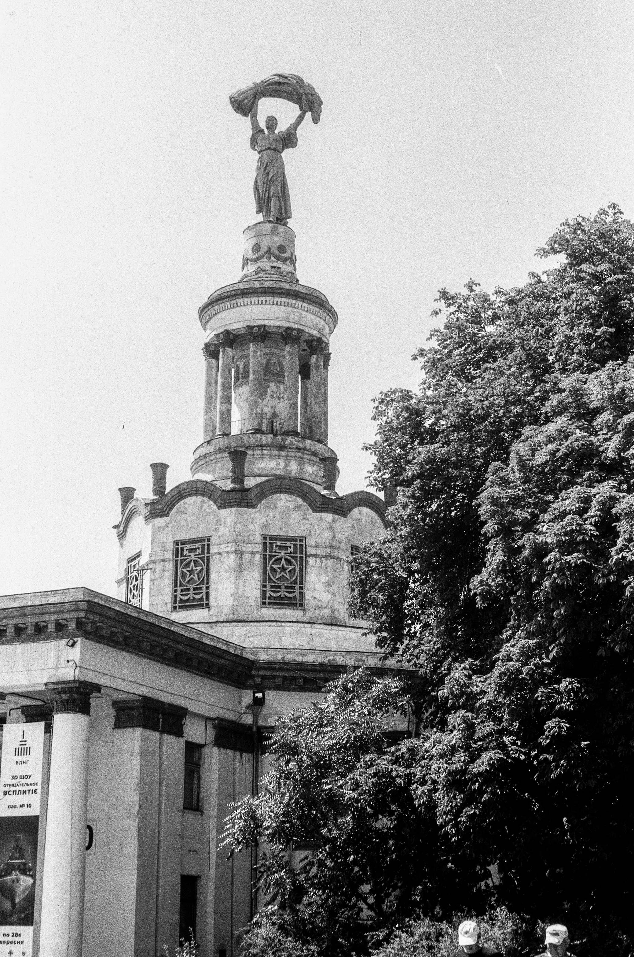 002771020012_1.jpg