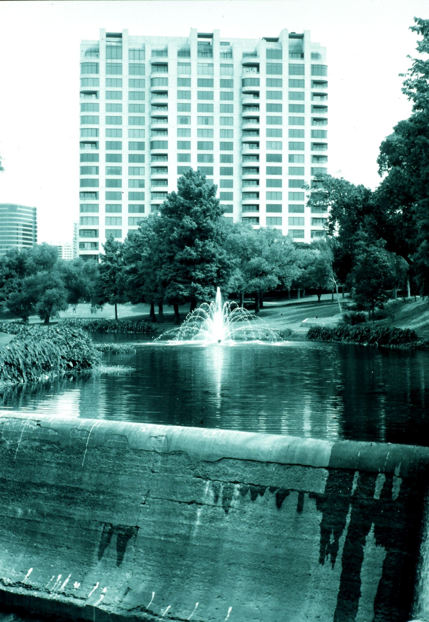 003.jpg