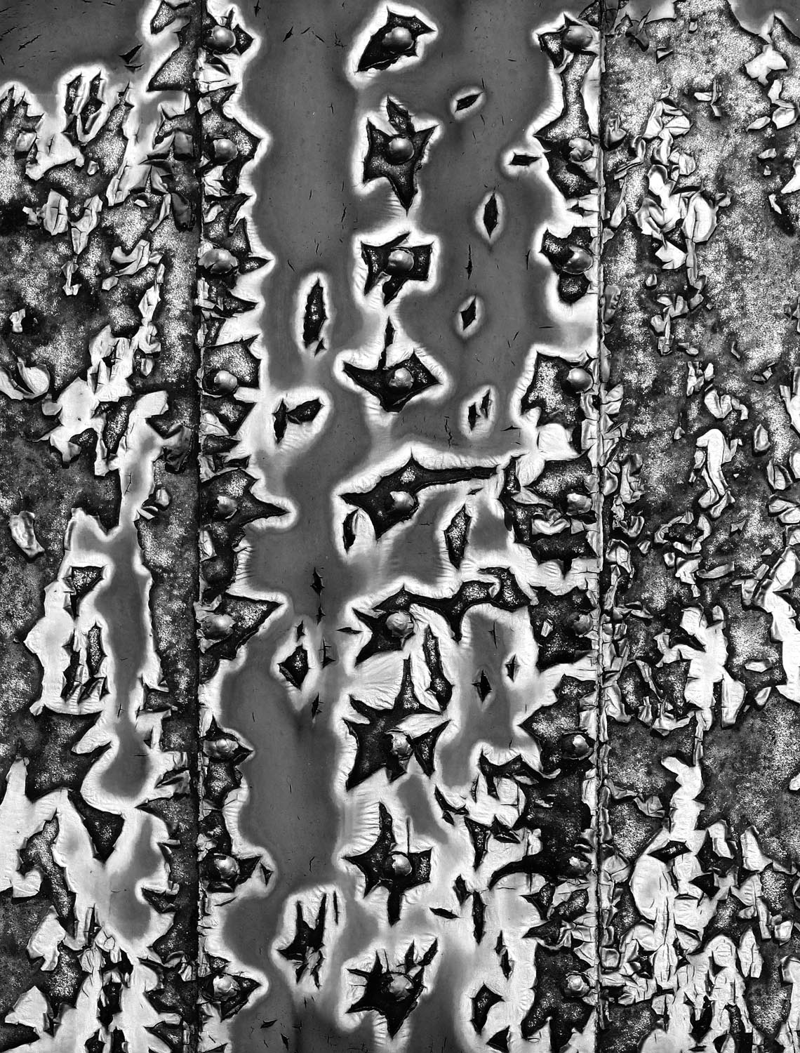 00482B5F-A190-4160-A7F2-FA941DC24615.jpeg