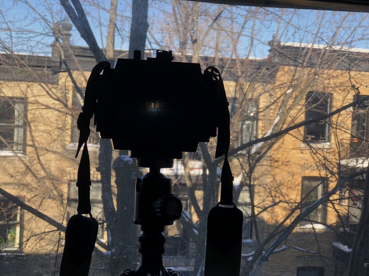 004D9CA9-A7A7-411B-990D-C34547749252.jpeg