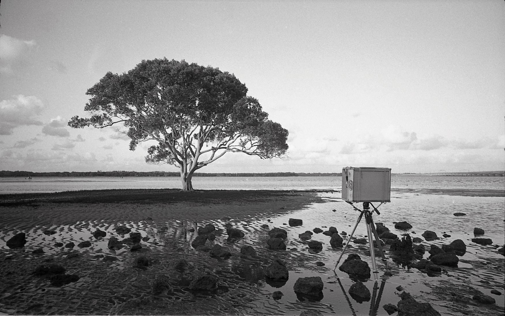 01 01 19 fp4 in d76345 (2).jpg