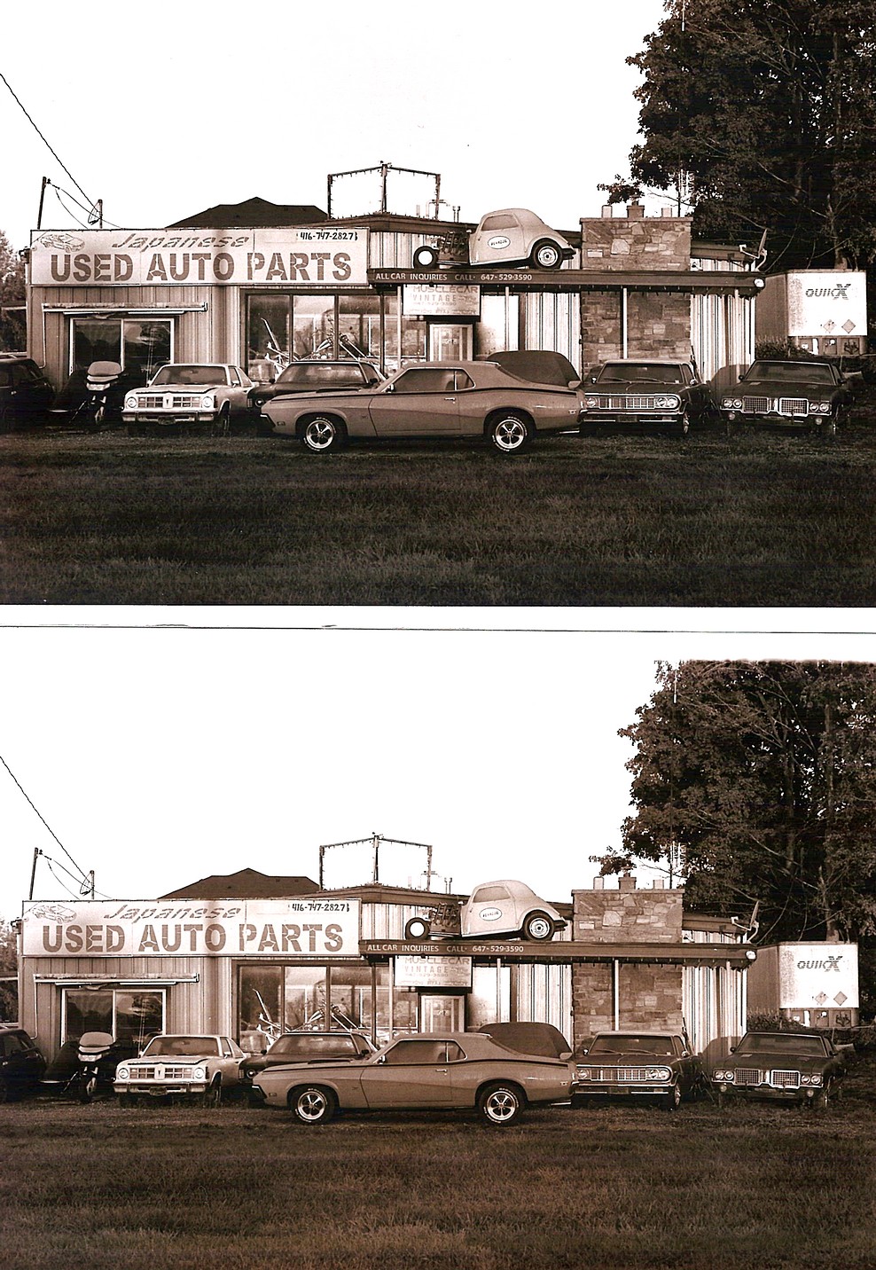 01-All shoot one-2025.jpg