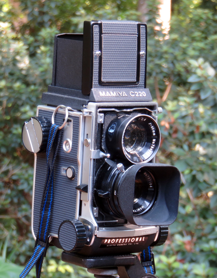 01-color.jpg