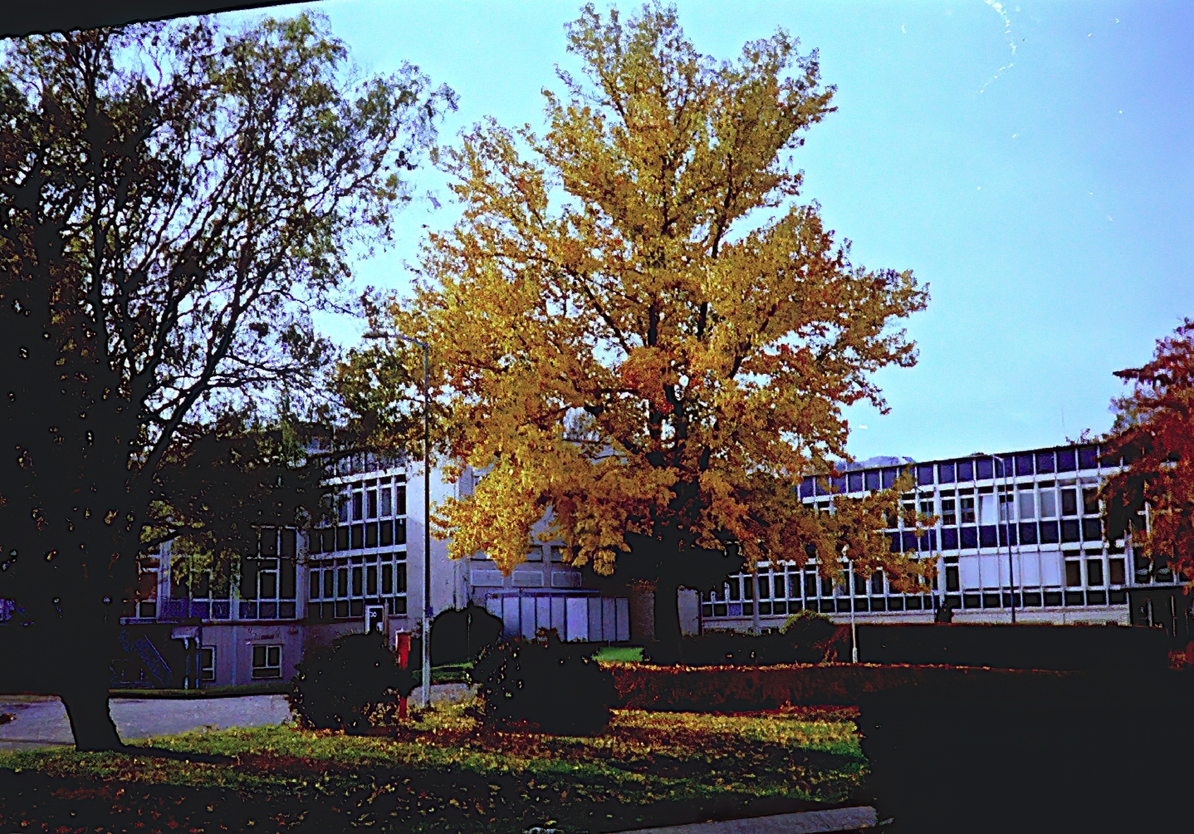 01.jpg