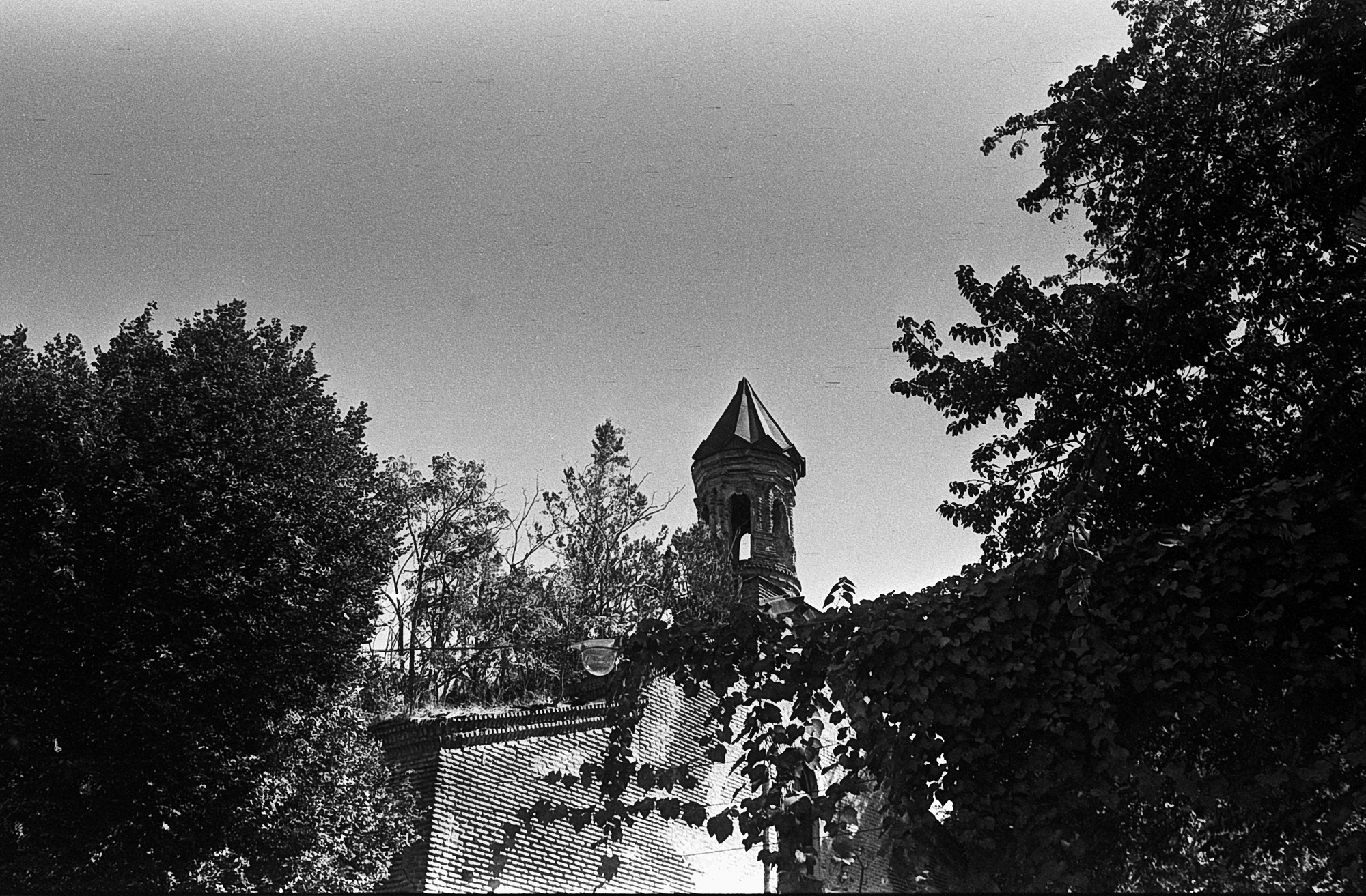 010.jpg