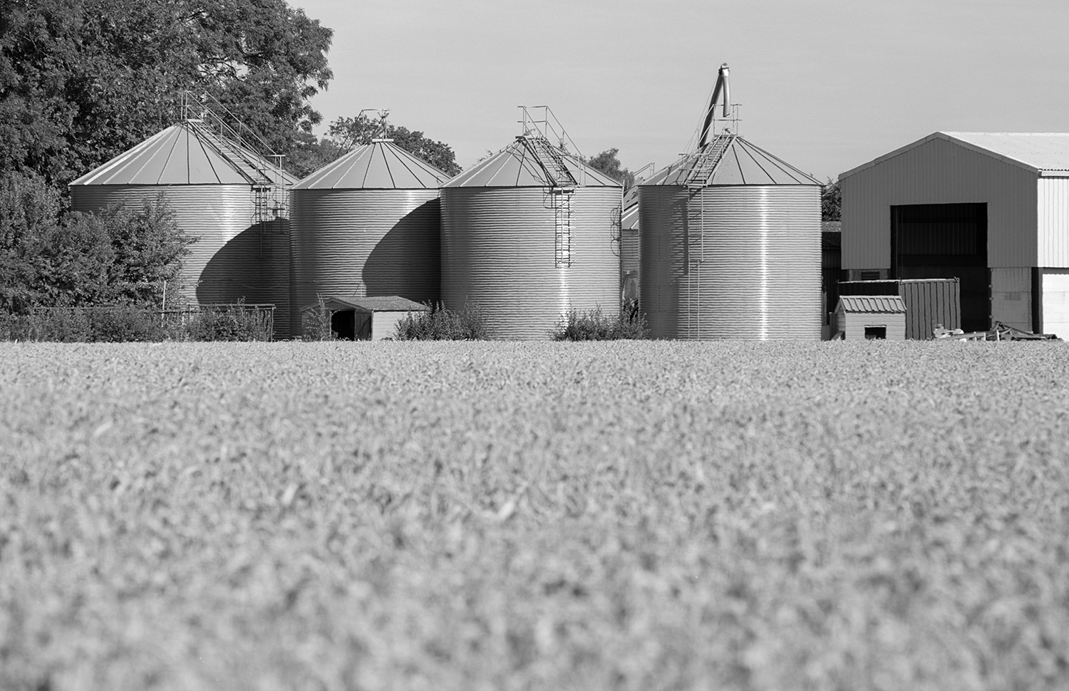 01114_9_adj_grain silo_grey.jpg