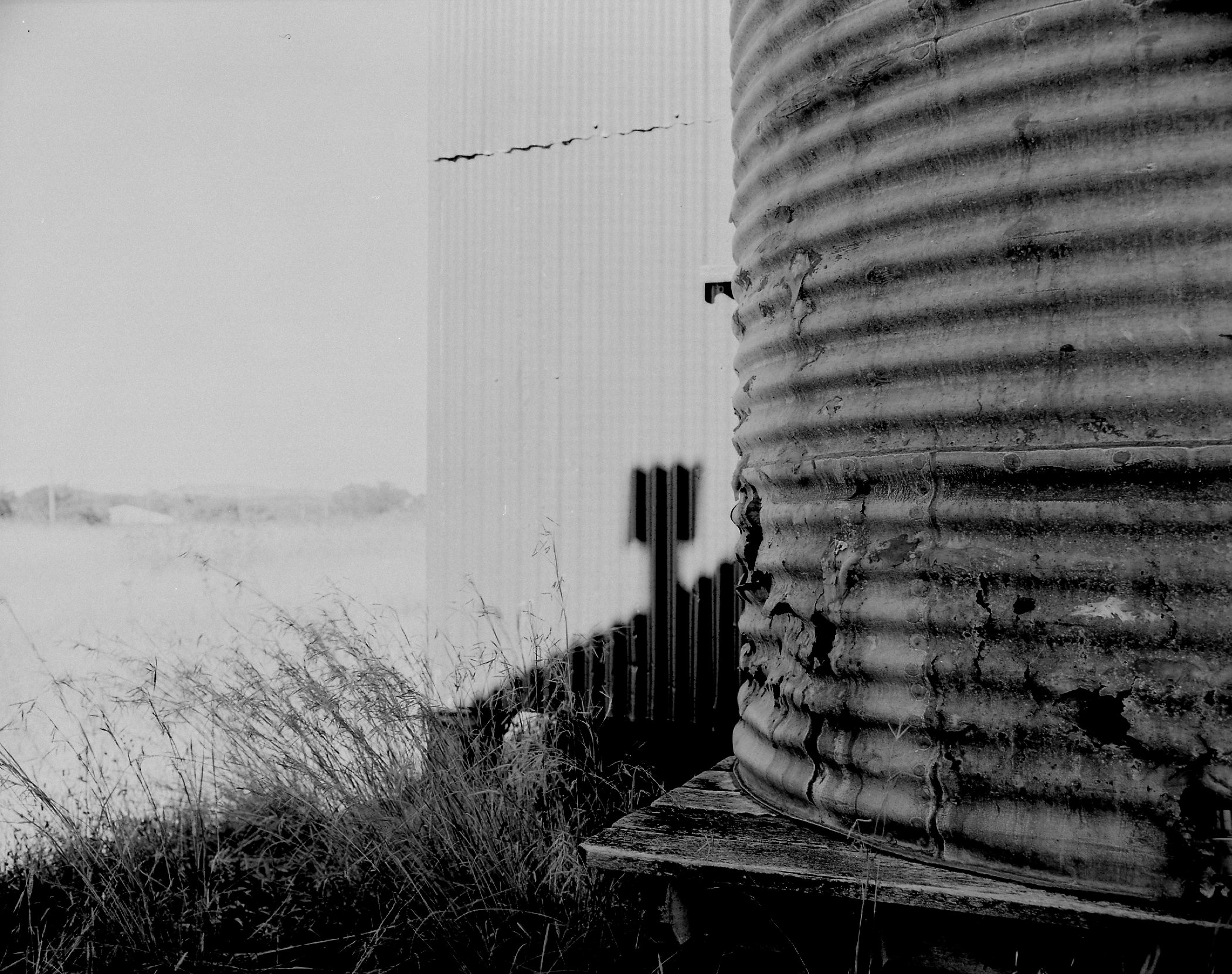 03 05 21 ilford rc selenium bleach agfa brown hp5 in pyro853.jpg