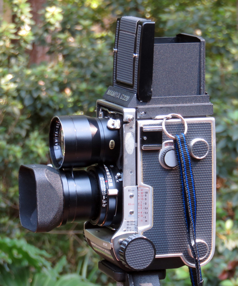 03-color.jpg