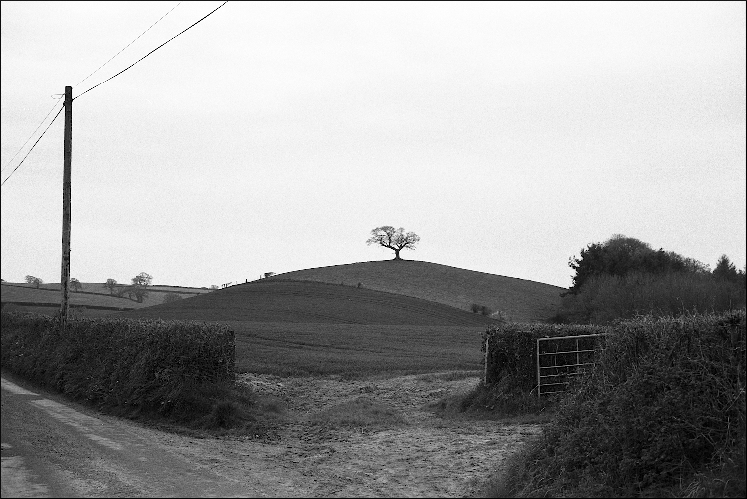 0318_30-lg-border.jpg
