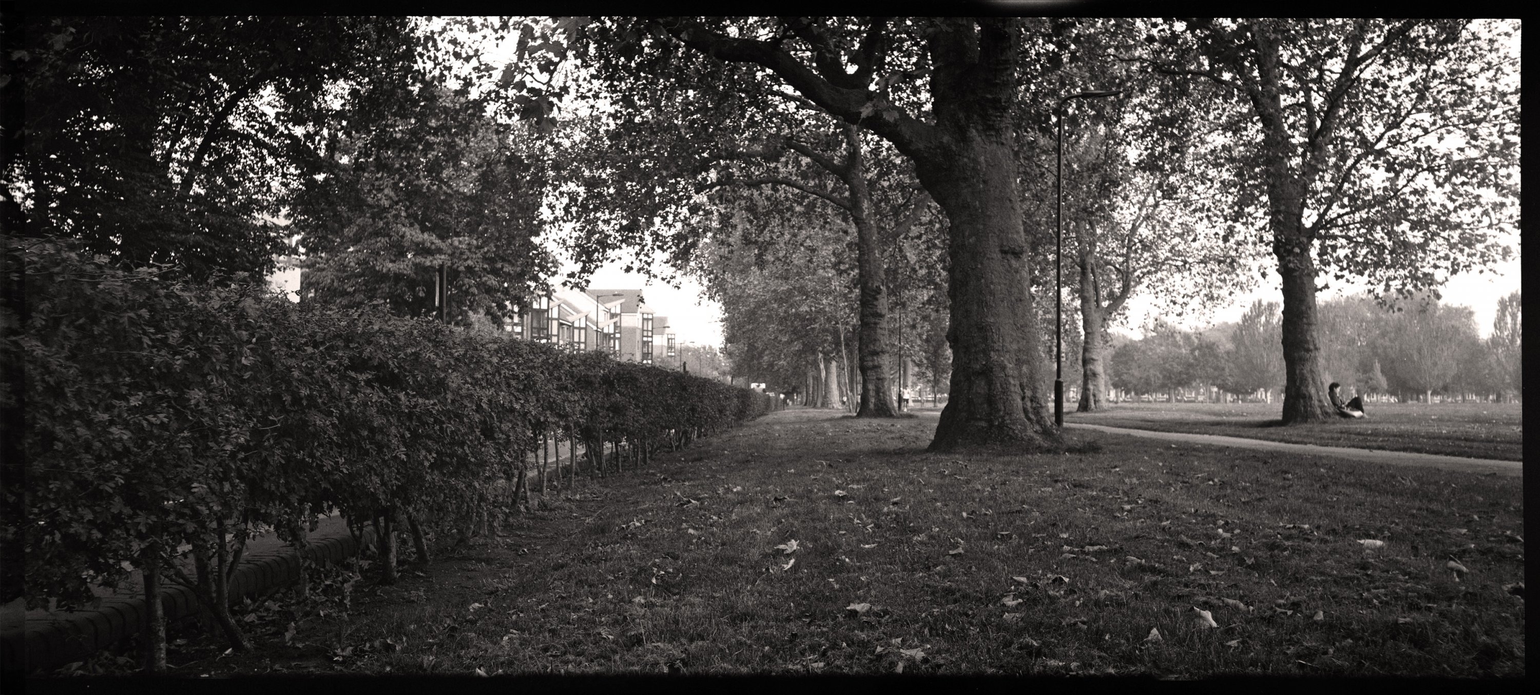 04_holgaflex_12mm_f22.jpg