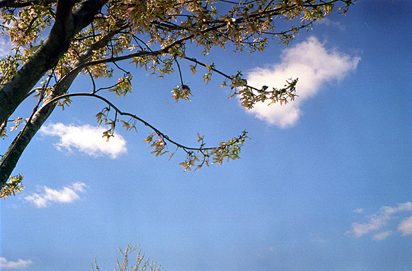 05.JPG