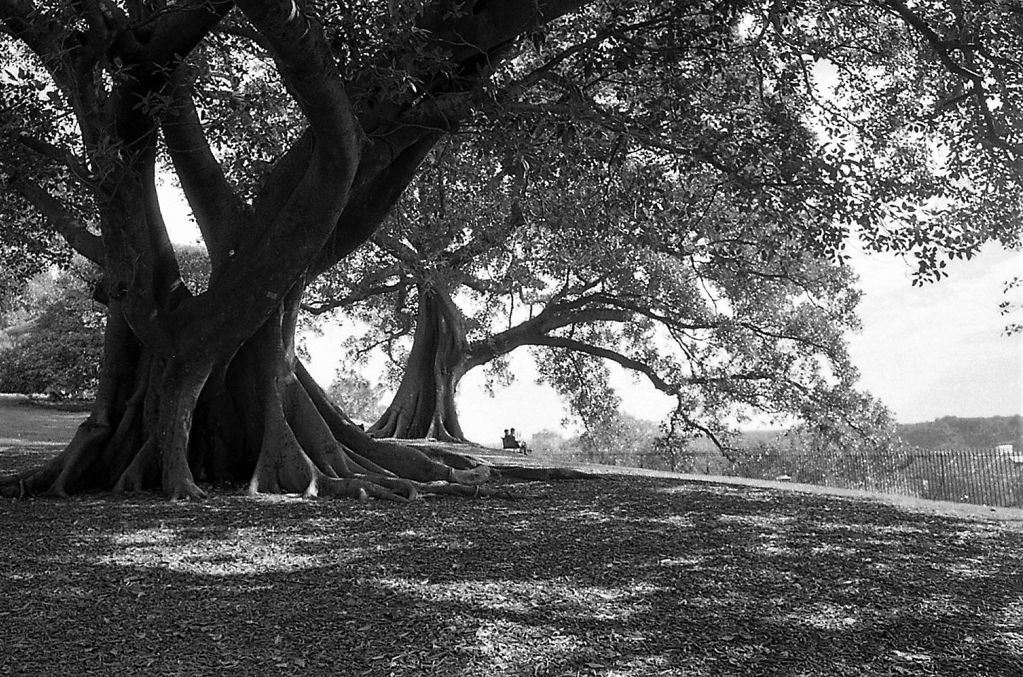 06 08 23 hp5064 (3).jpg