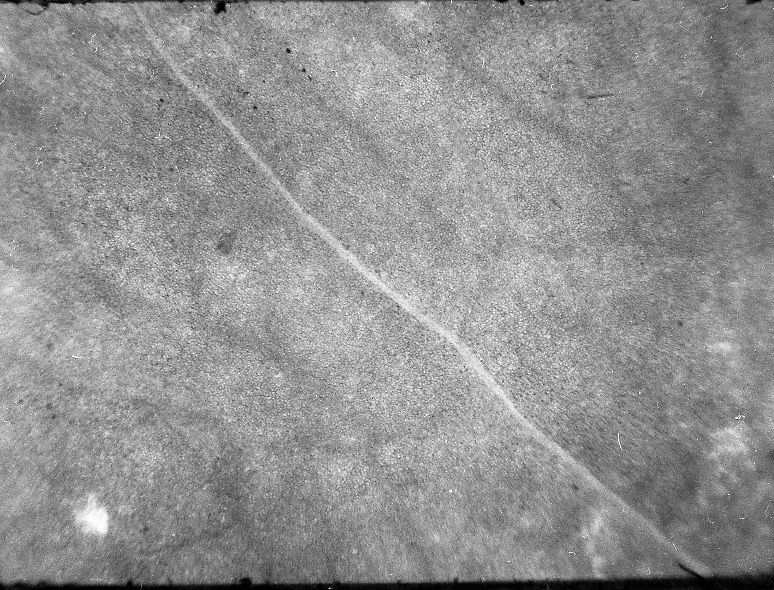 06 11 12 hp5 in d76640.jpg