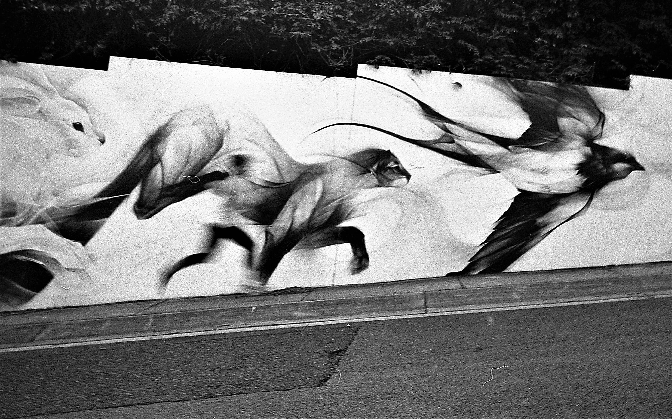 07 06 20 hp5 1600500 (3).jpg