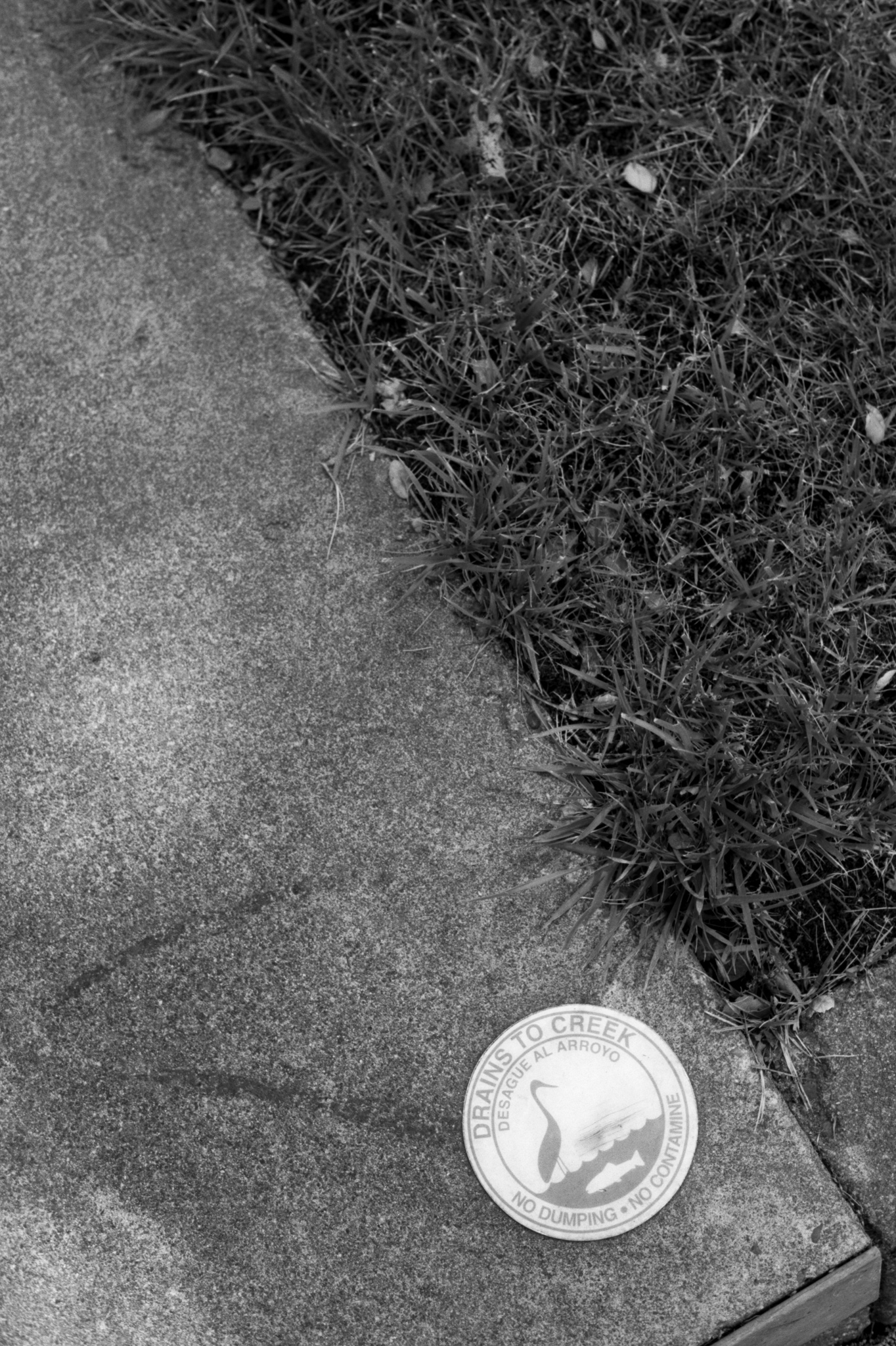 0794_4376.jpg