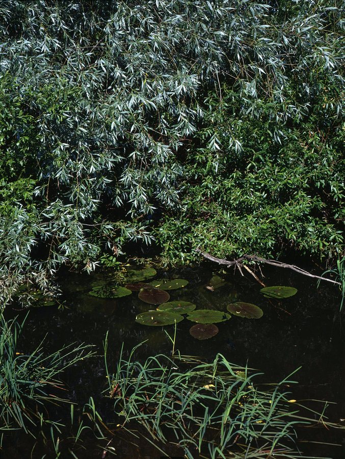 07_9x12_002_cr.jpg