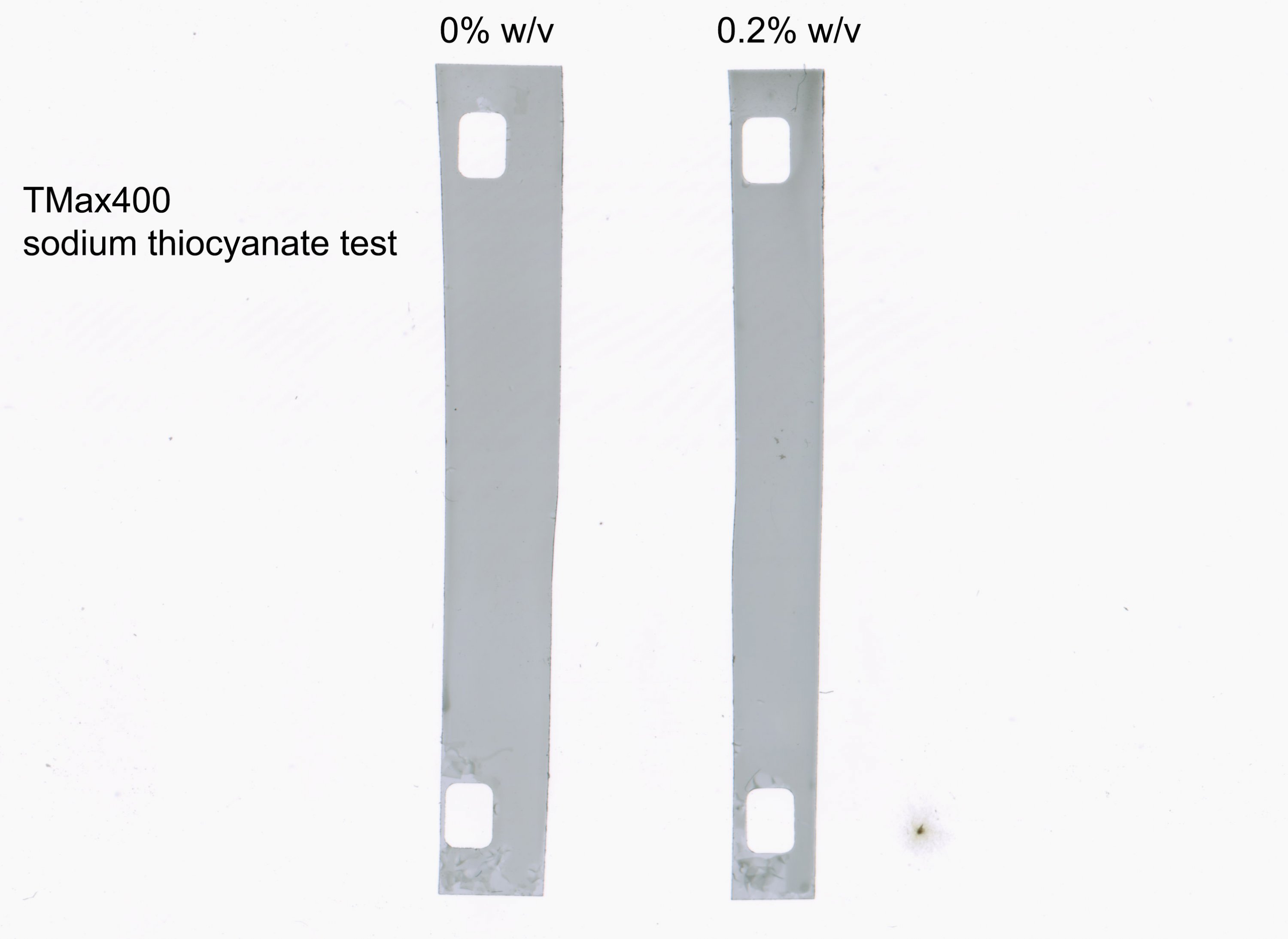 0and02percent sodium thiocyanate emulsion down over glass cover.jpg