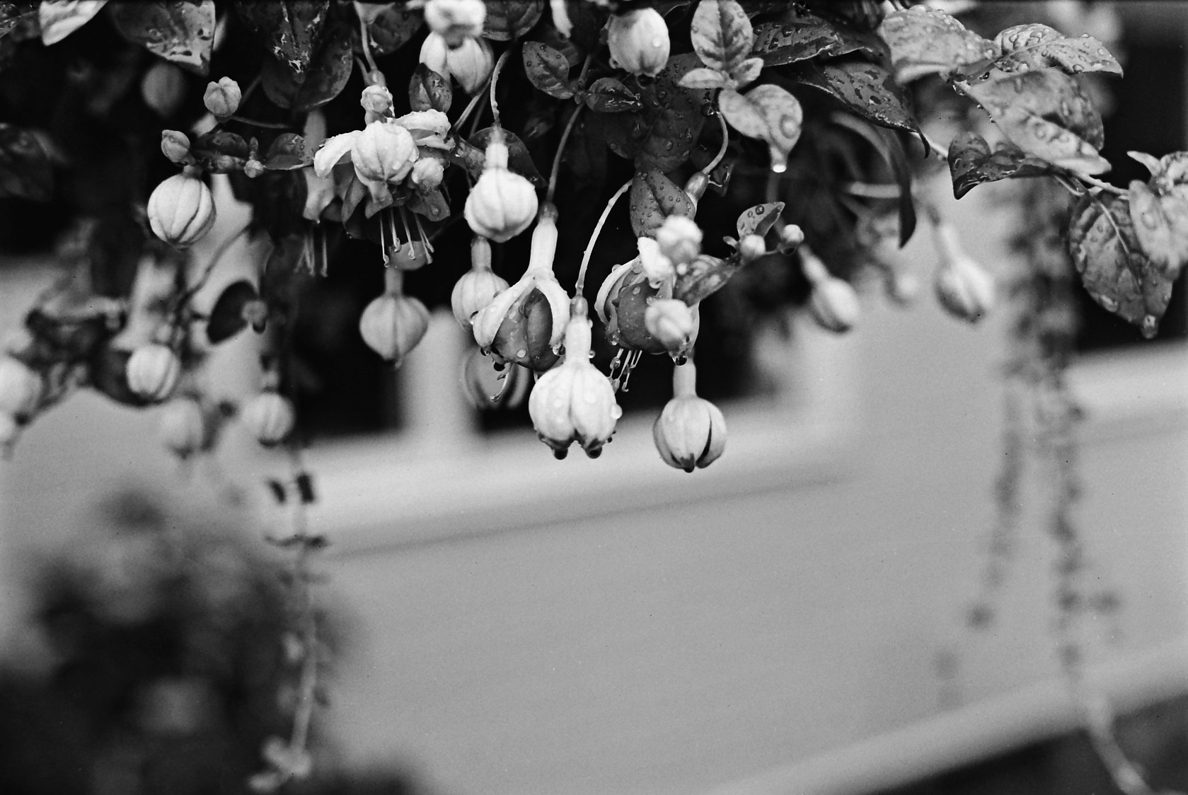 1-UN 54 1-1-200 PCat HDC _0015.jpg