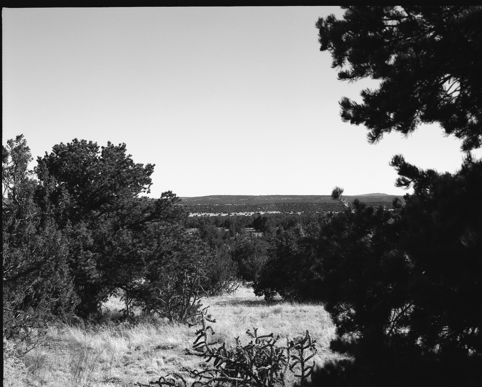100 TMax 644.jpg