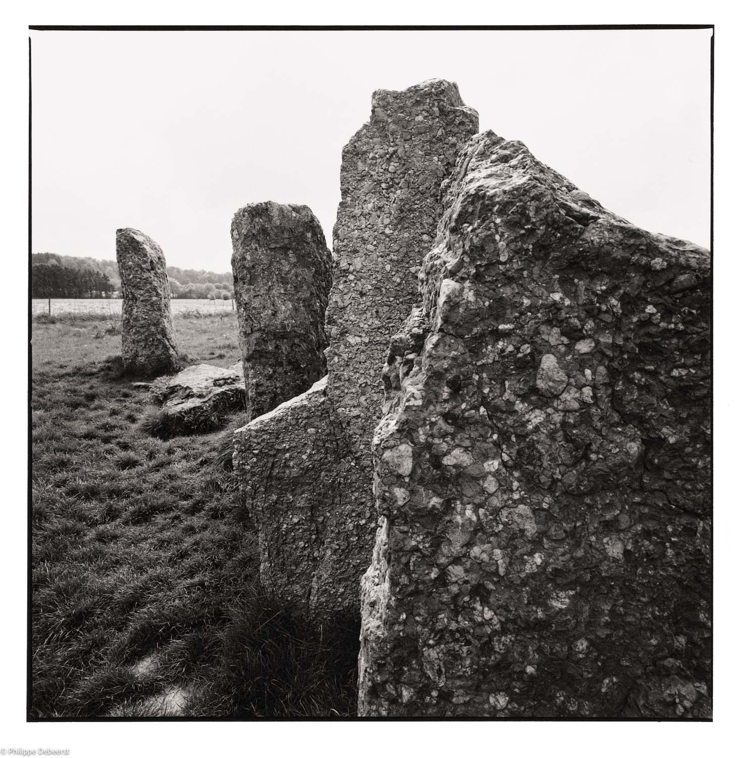 11-Megalieten.JPG