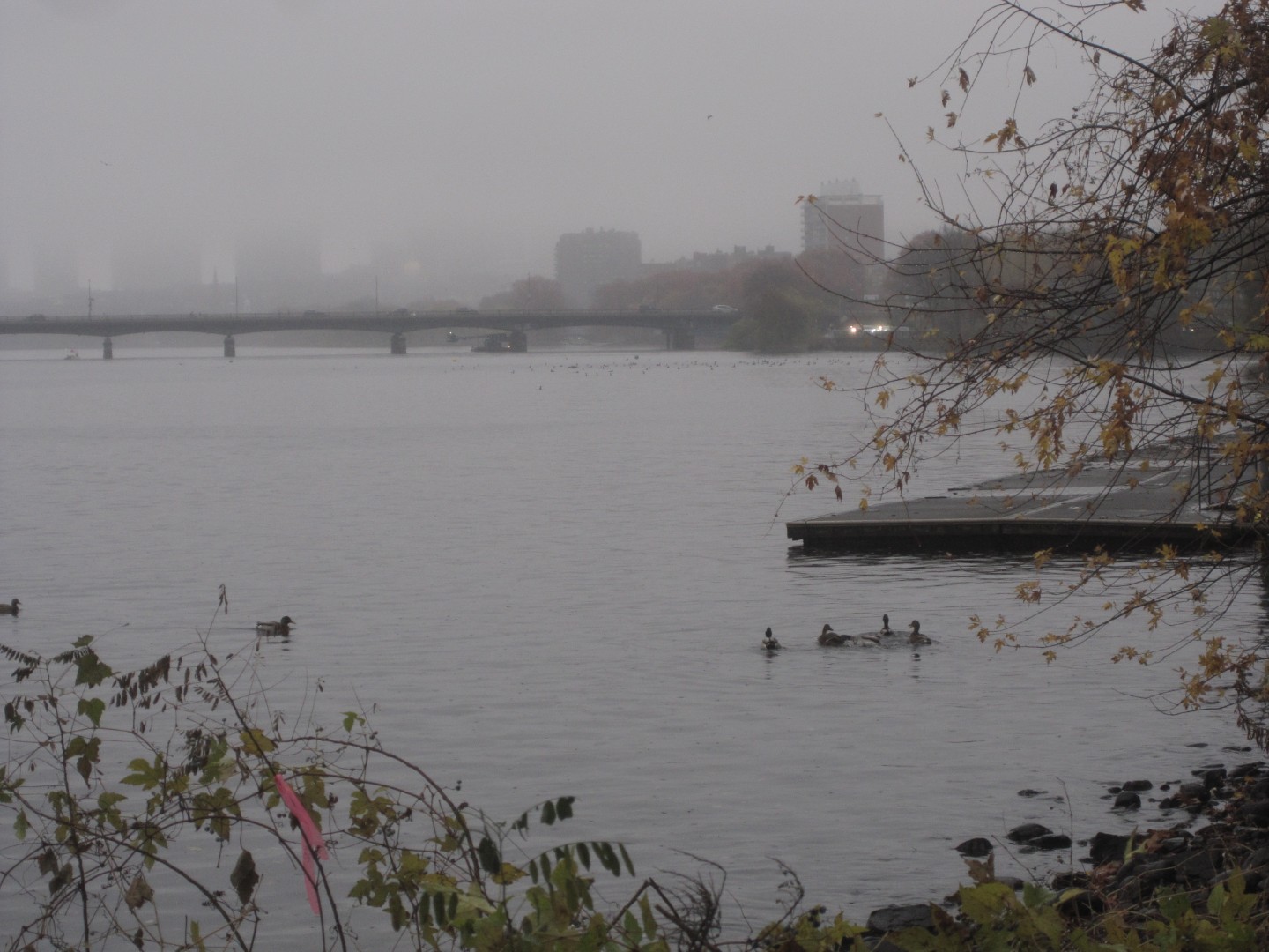 111425_SD780IS_ (21).JPG