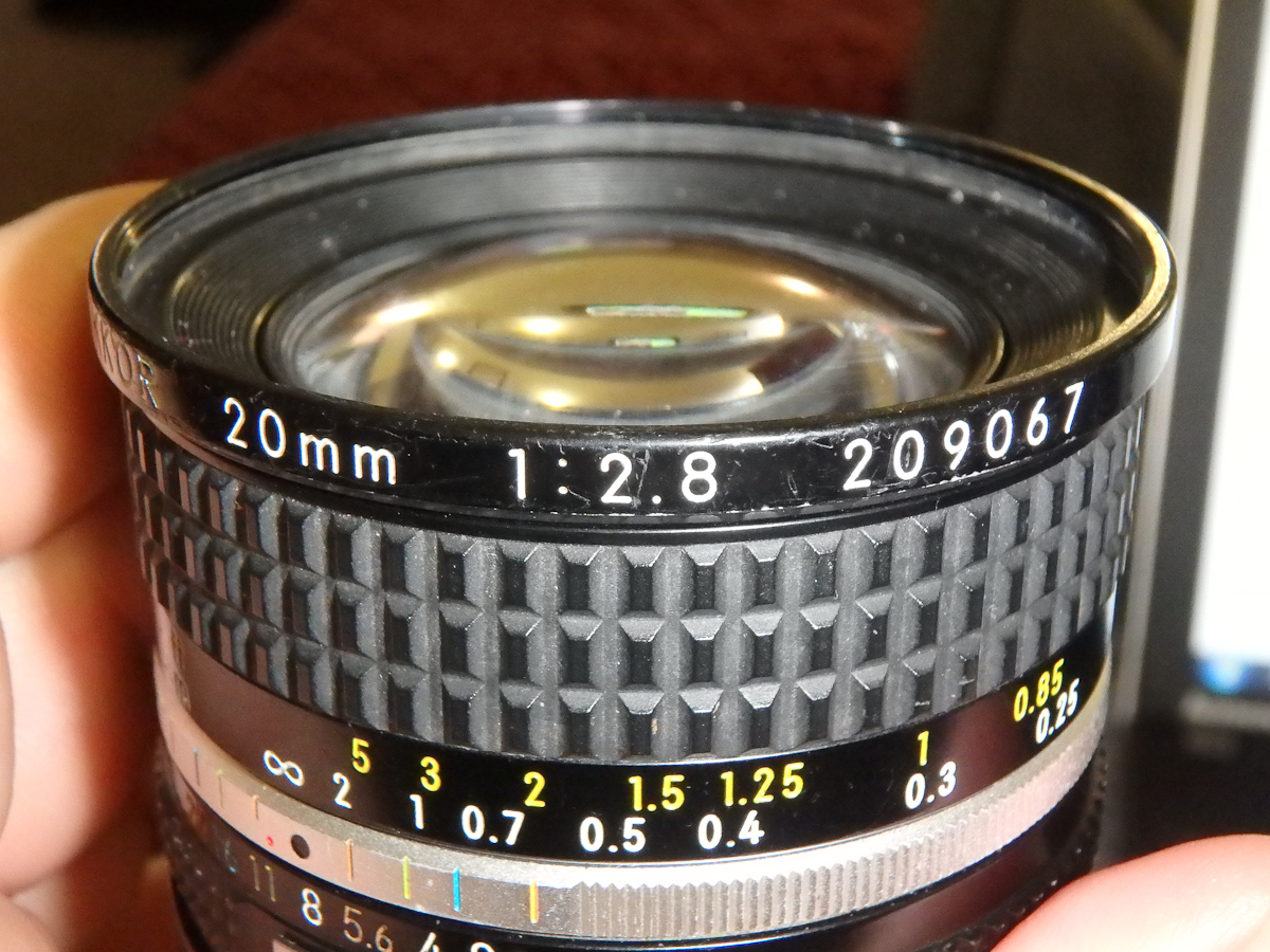 1137-4010548.jpg