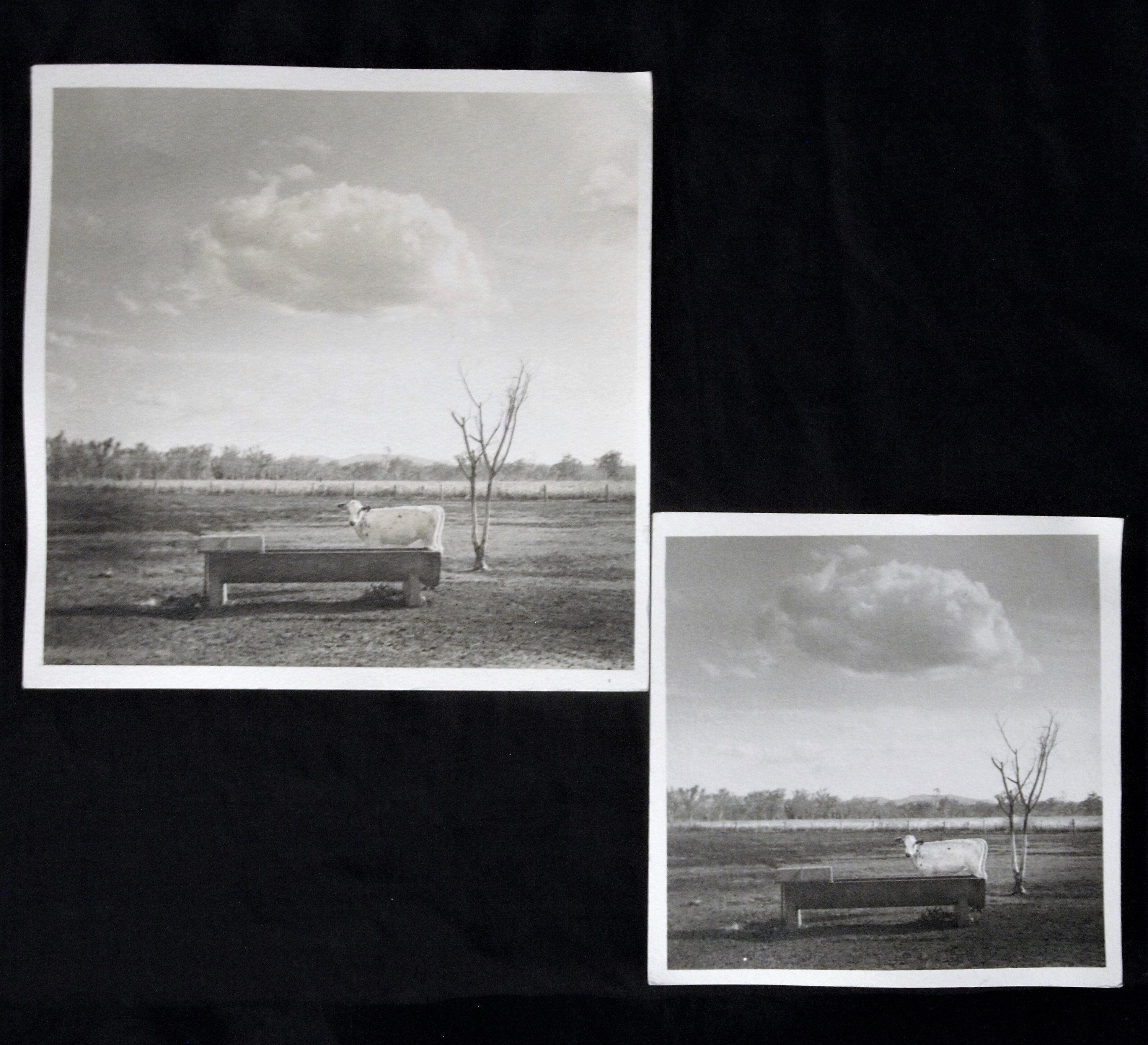 12.02.20 ilford art, small straight, large split toned bleached..JPG