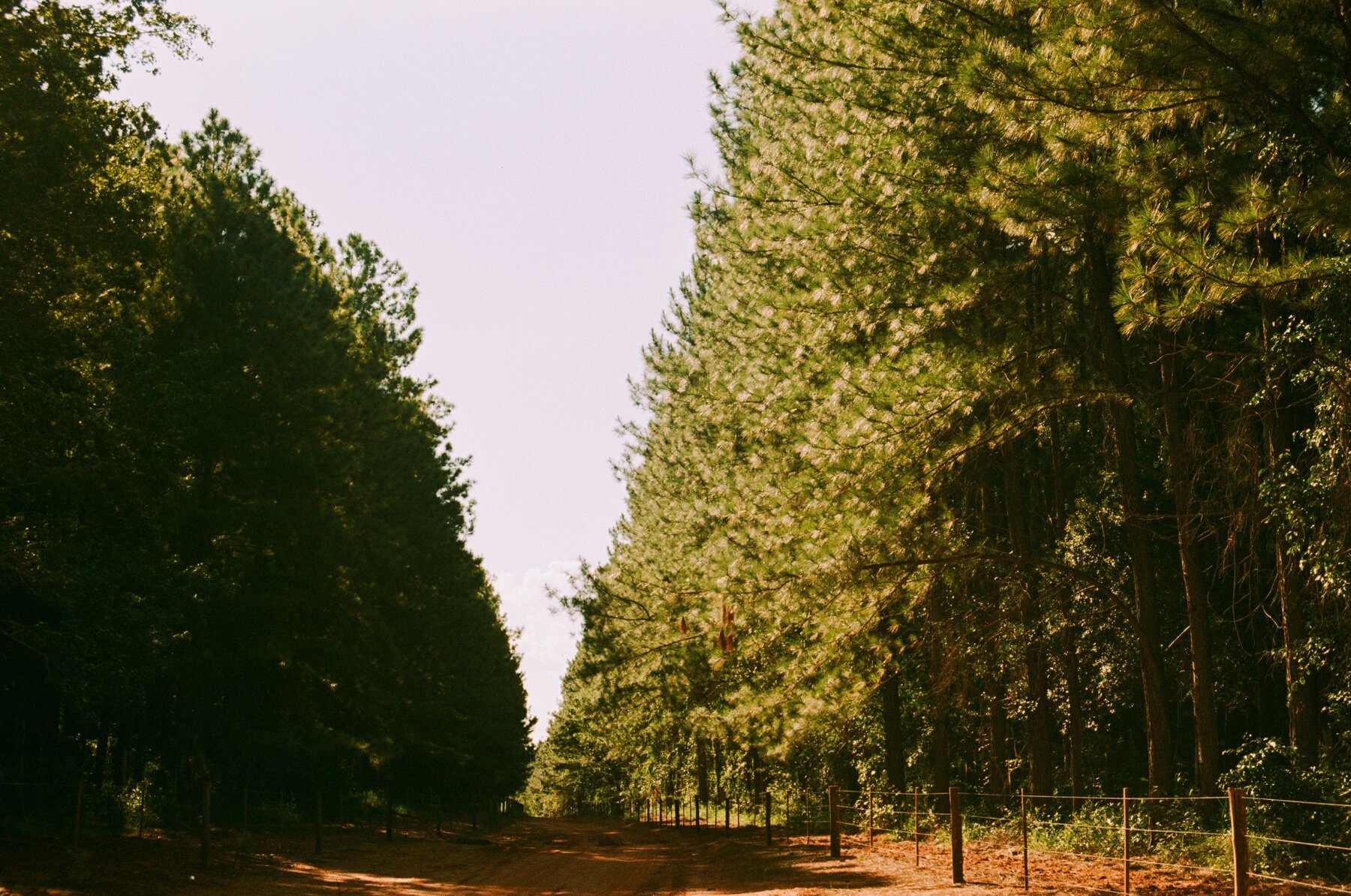 12.803 - 0696 - Lucky 200 - ALTA - Pedro Henrique Guedes -10.jpg