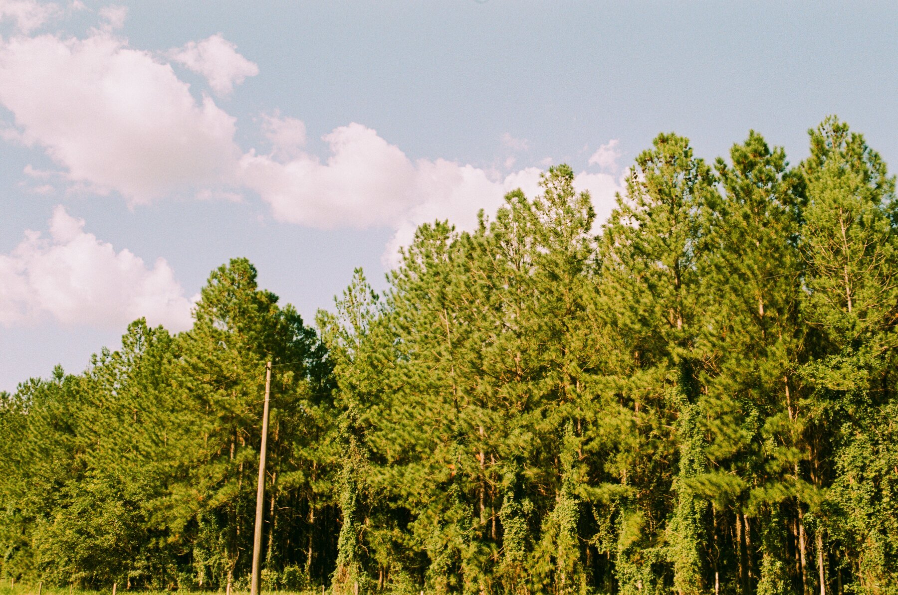 12.803 - 0696 - Lucky 200 - ALTA - Pedro Henrique Guedes -6.jpg