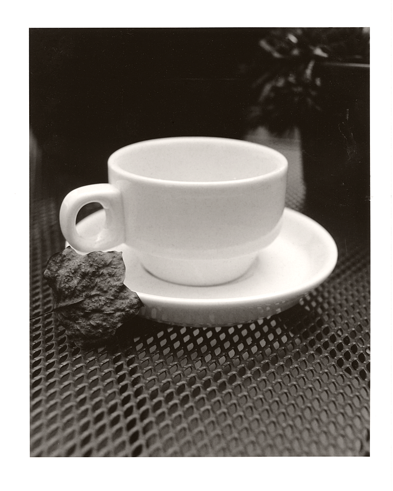 12-White Cup - Medium - Brown -12-2020-02-14.jpg