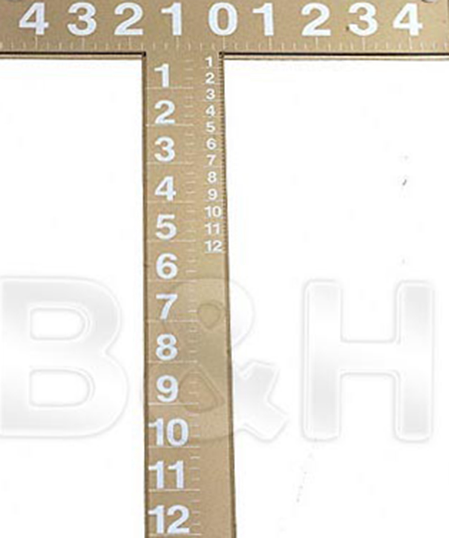 1232613868000_17514 copy.jpg