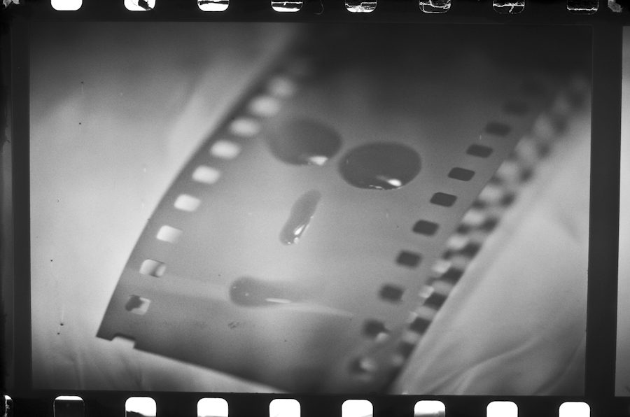 [135] Kodak Tri-X 400 Diapositiva_MG_1033.jpg