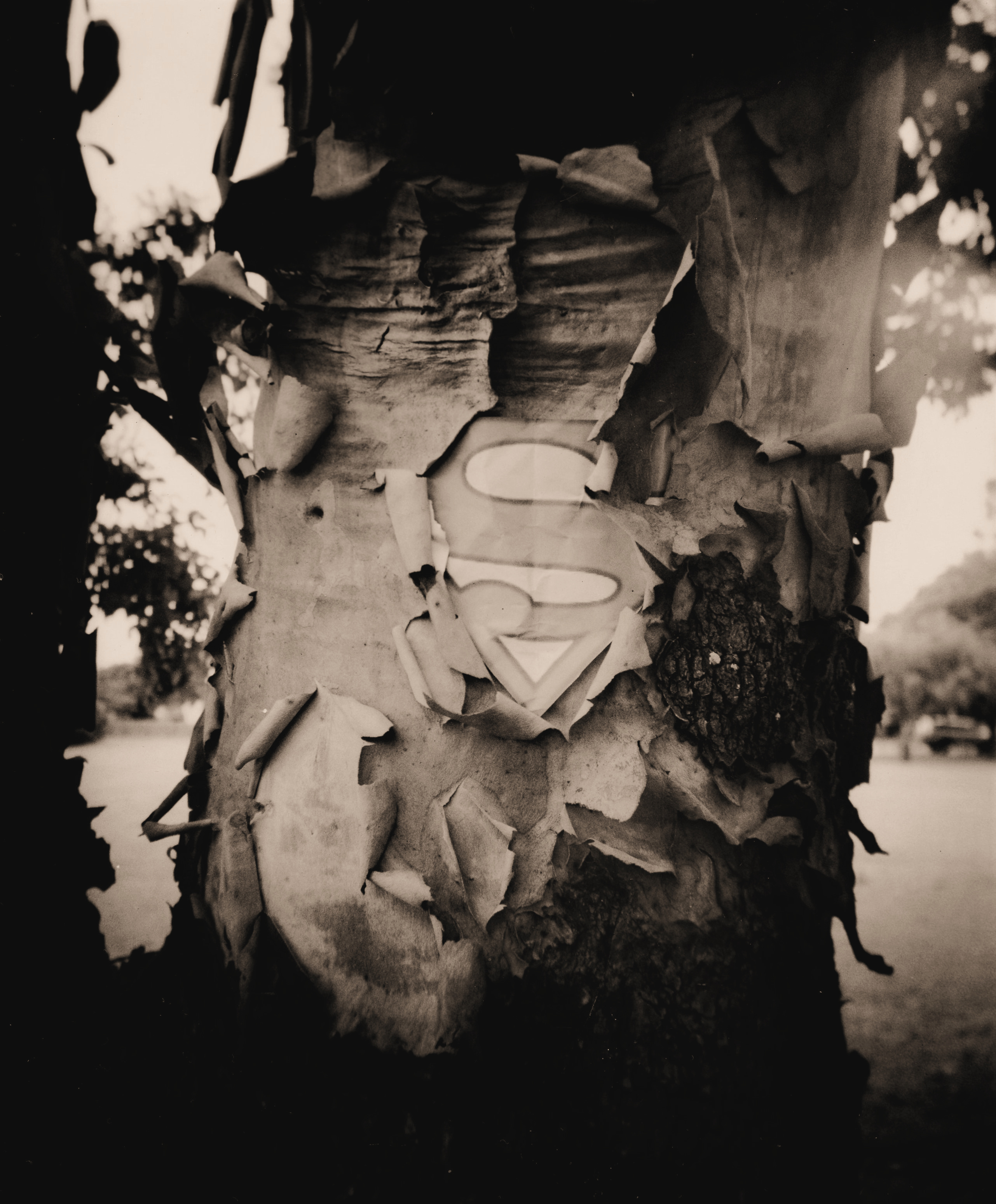 15 01 23 ilford rc glossy grade 5 selenium bleach hp5027 (2).jpg