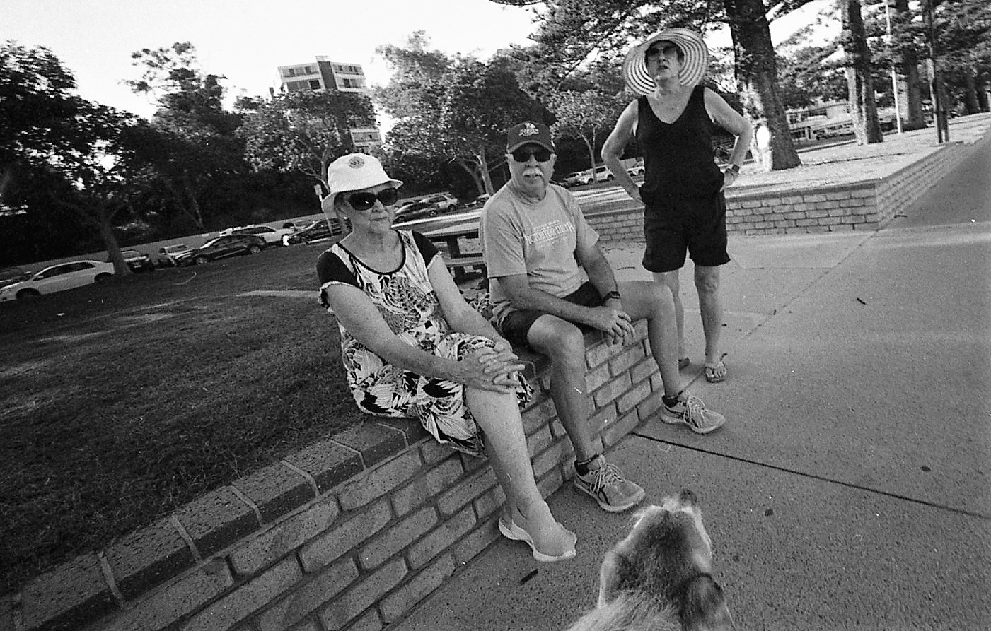 15 03 21 rollie 400 in d76276 (2).jpg