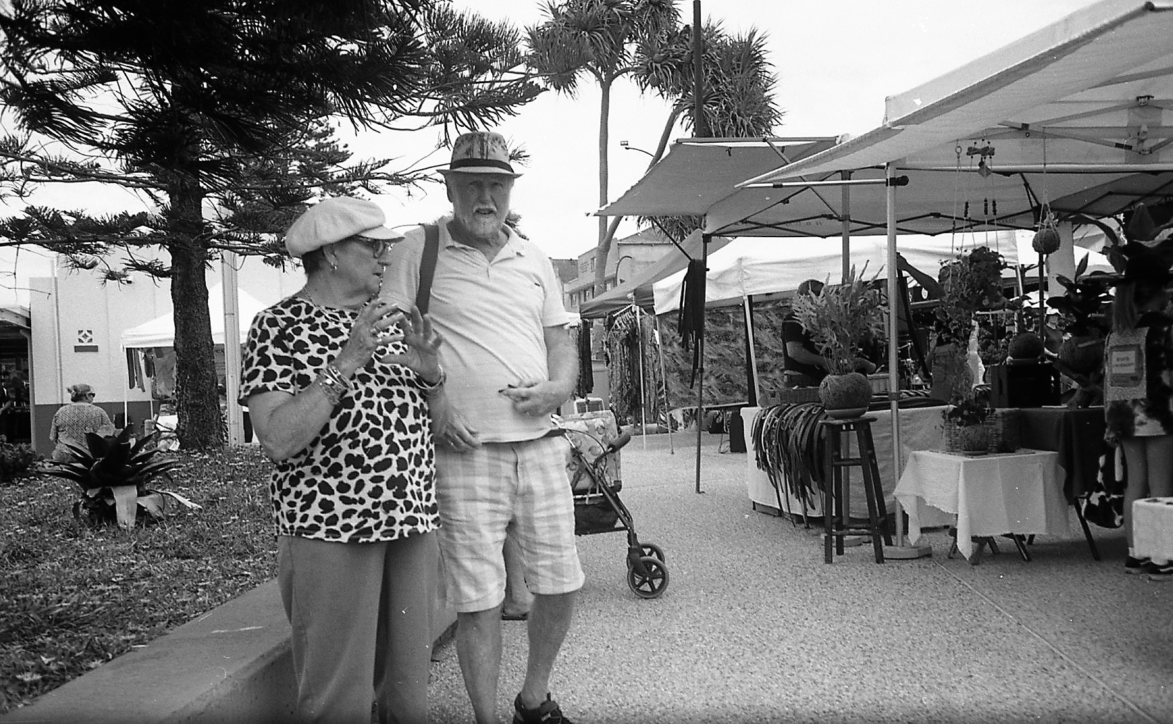 16 10 22 fp4426 (2).jpg