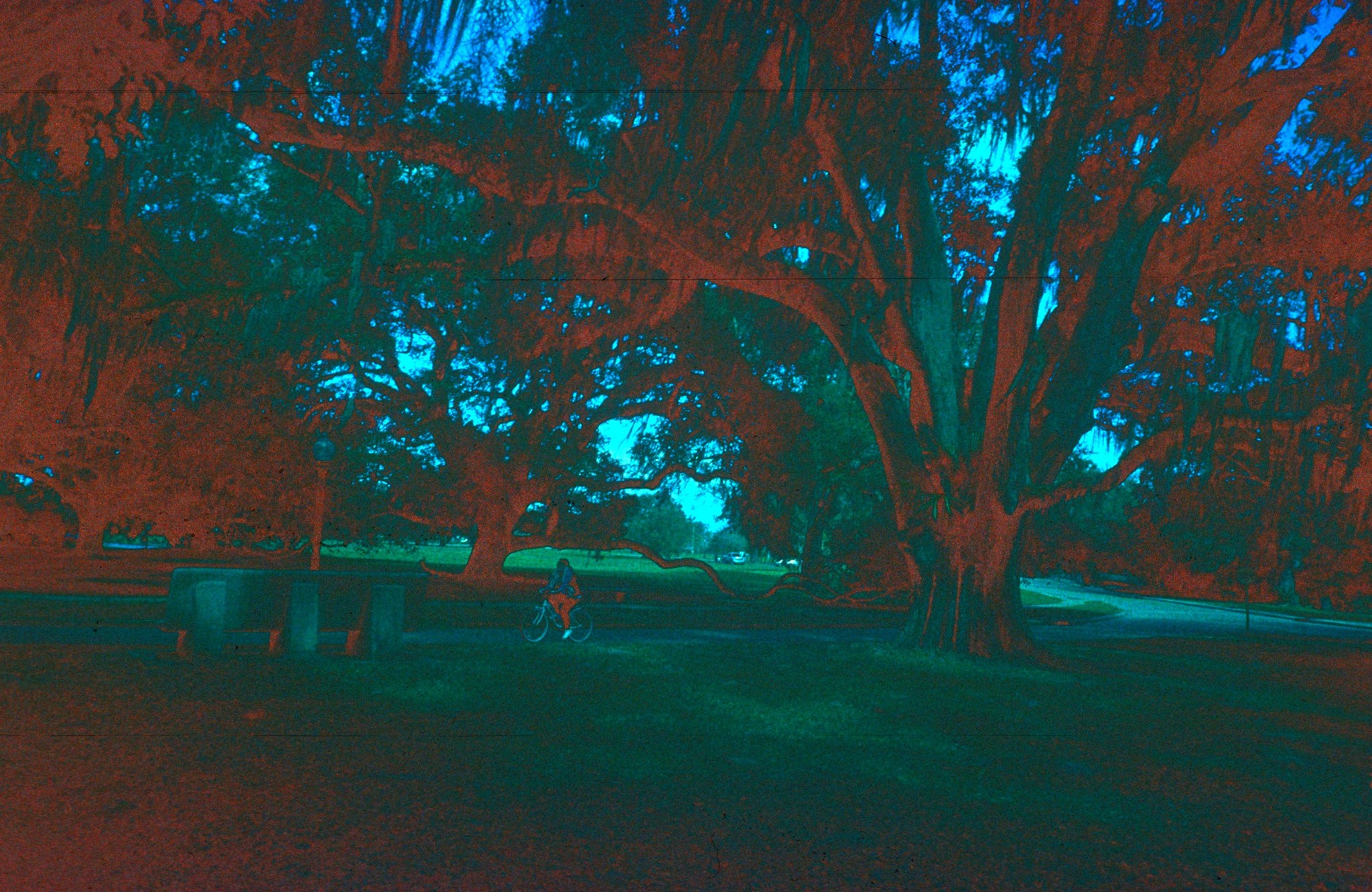 16251359_1358891080839955_1567934847_o.jpg