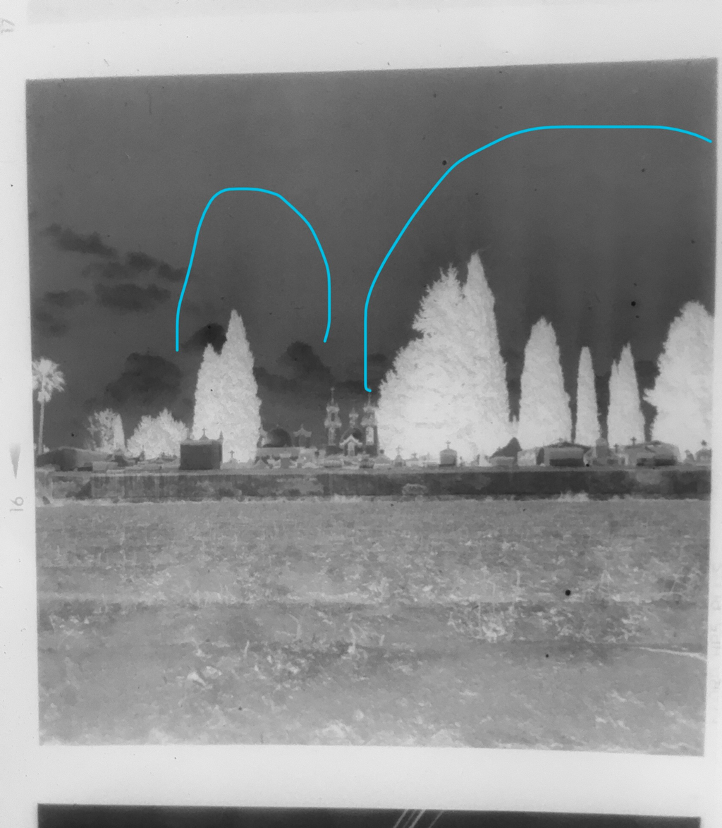 1692032936948.png