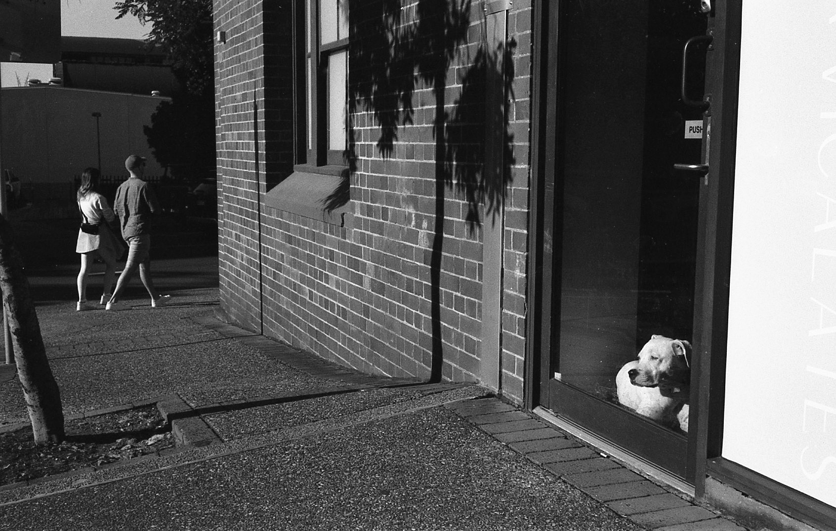 17 06 23 fp4731.jpg